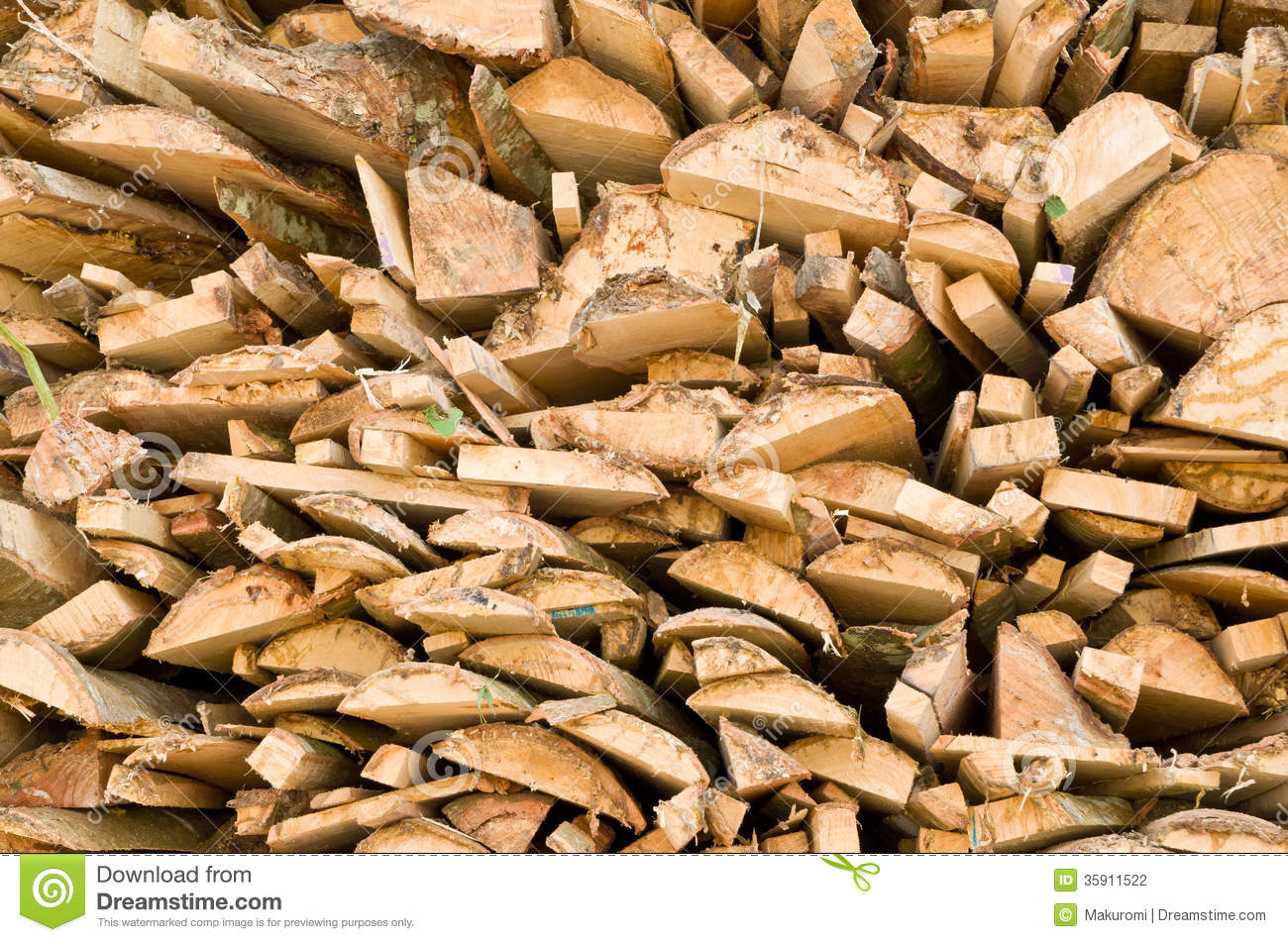 Wooden Logs On Logging Truck Trailer 