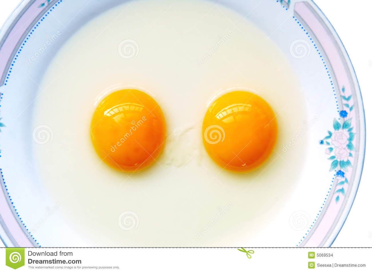Double Yolk Egg Stock Images   Image  5069534
