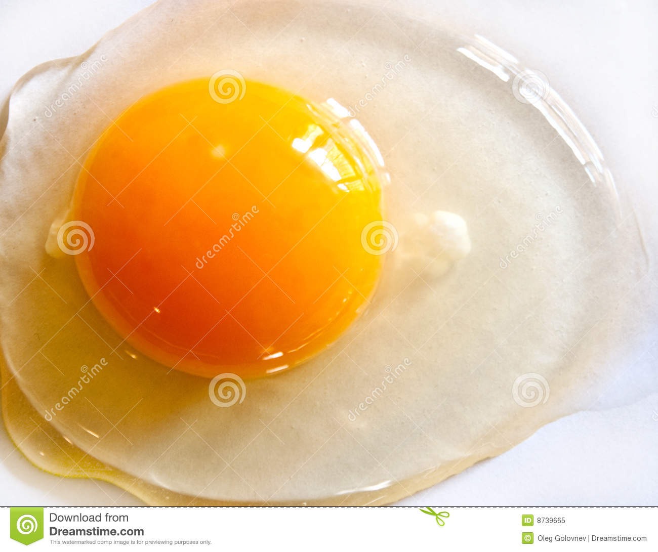 Egg Yolk Royalty Free Stock Photo   Image  8739665
