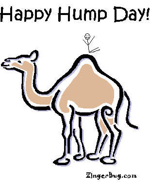 Myspace Glitter Graphic Comment Happy Hump Day Camel