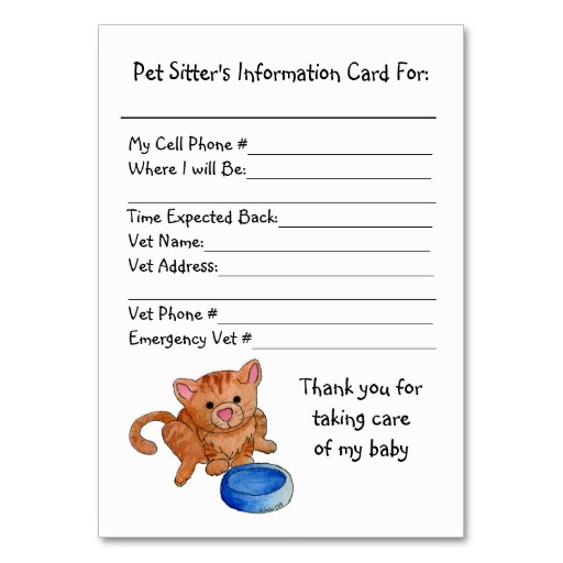 Pet Sitter S Information Card   Cat Business Cards   Zazzle