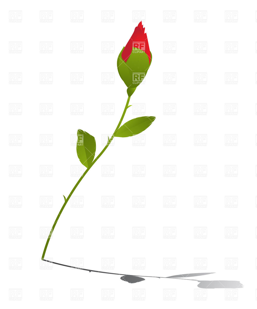 Red Rose Bud Download Royalty Free Vector Clipart  Eps 