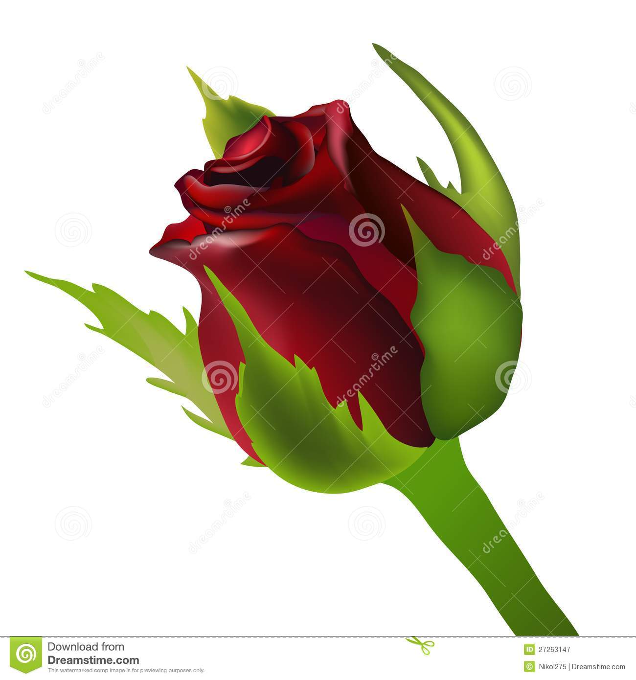 Red Rosebud Clipart Red Rose Bud Vector