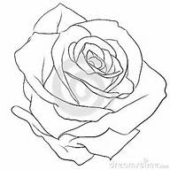 Rosebud Clipart Black And White Rose Picture Pictures