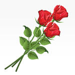 Roses   Three Red Roses On A   Clipart Panda   Free Clipart Images