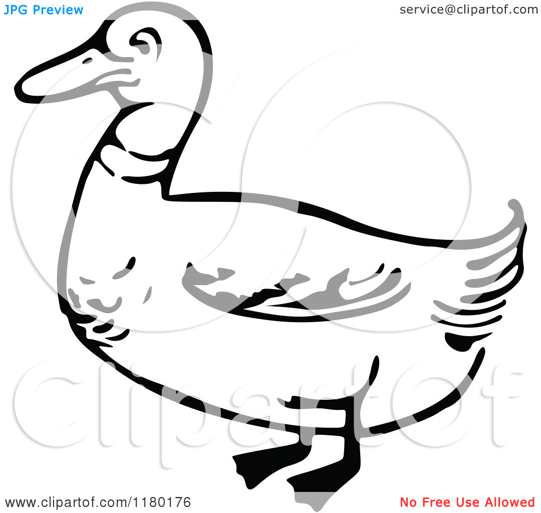 Tornado Clipart Black And White Duck Clipart Clipart Of A Black And