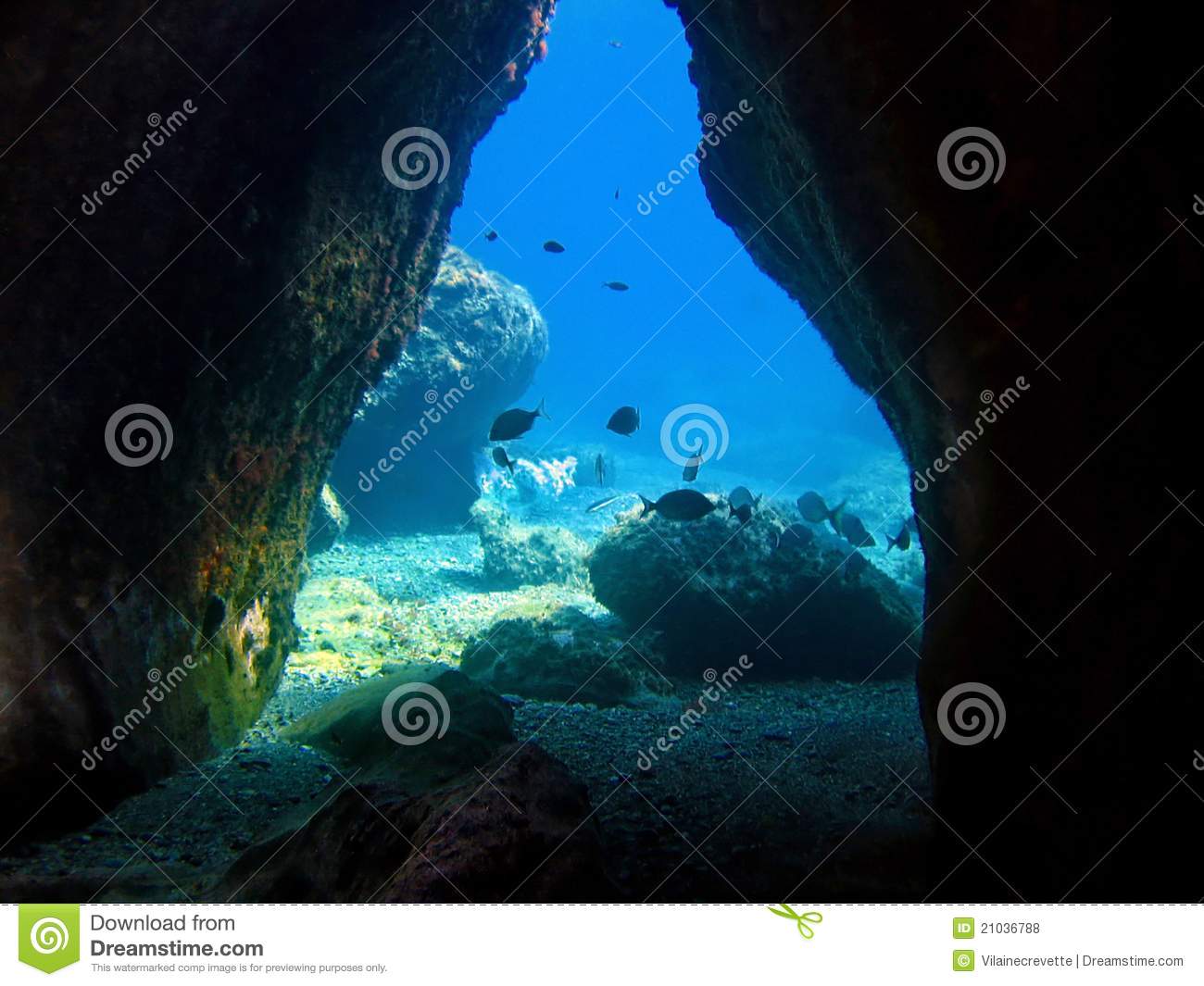 Underwater Cave Royalty Free Stock Photos   Image  21036788