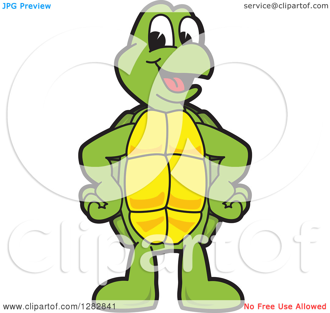 Clipart Of A Happy Turtle School Mascot Character   Royalty Free    