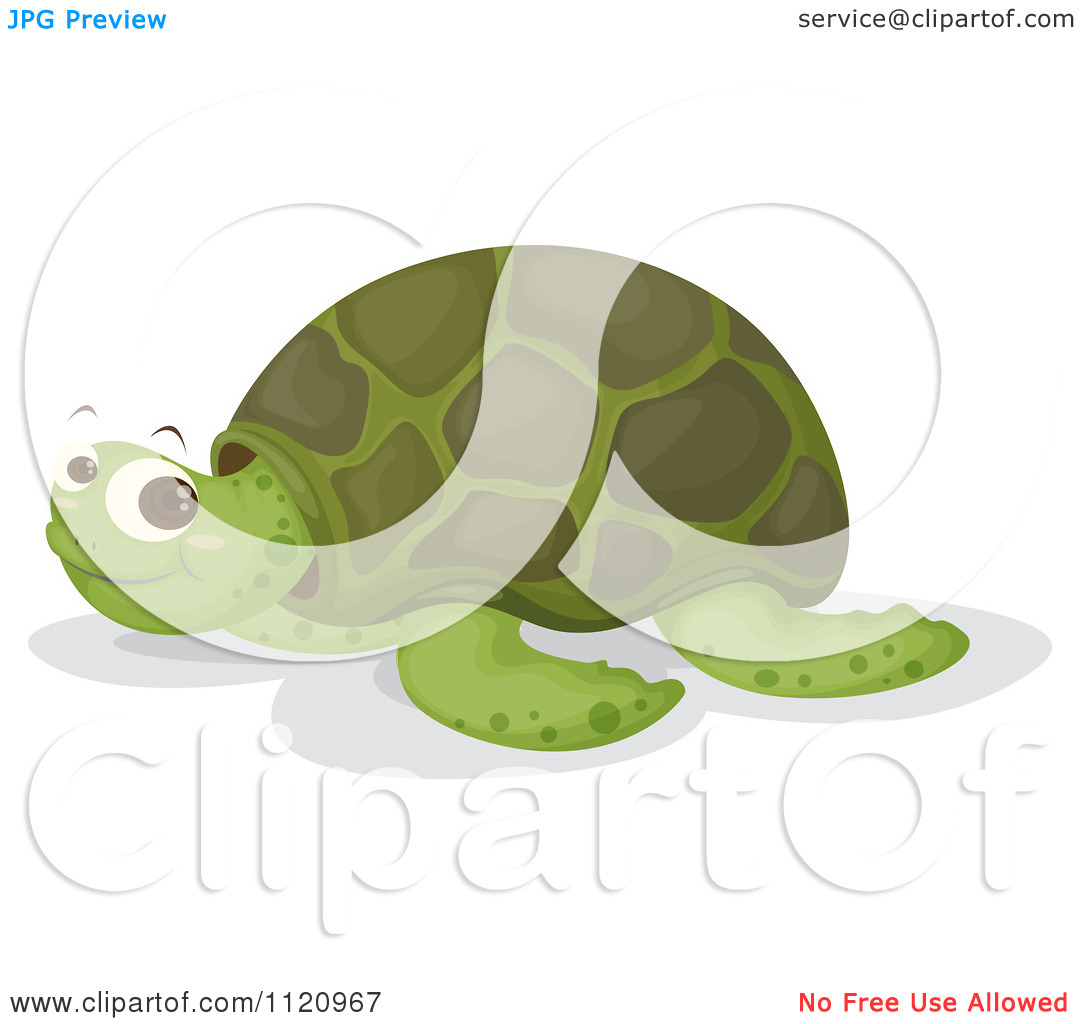Of A Cute Happy Sea Turtle   Royalty Free Vector Clipart By Colematt