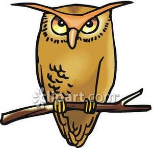 Sleeping Owl On A Tree Branch Royalty Free Clipart Picture