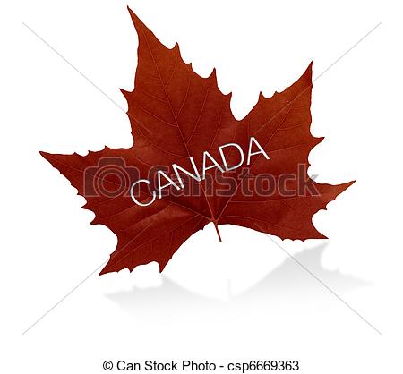 Canadian Maple Leaf    Csp6669363   Search Clipart Illustration And