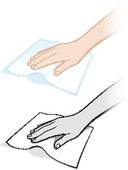 Dust Rag Clipart Two Variants Of A Woman S Hand