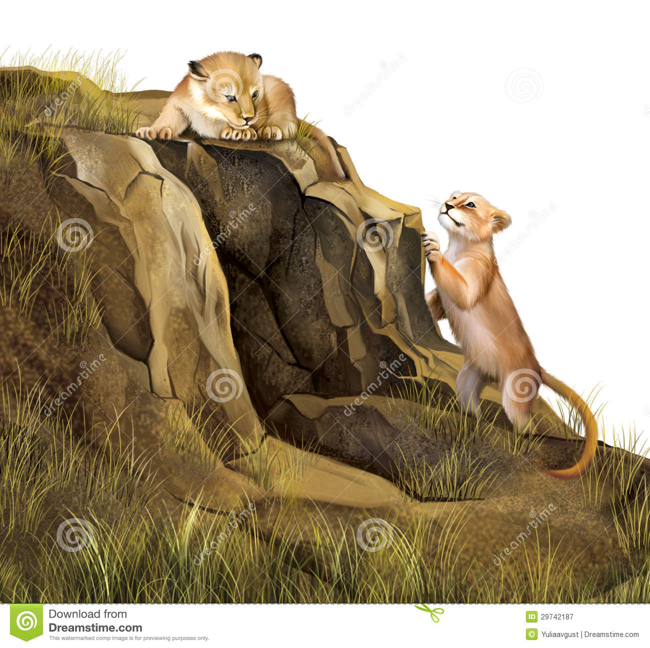 Playing On The Rocks  Lion Cave  Illustration On White Background