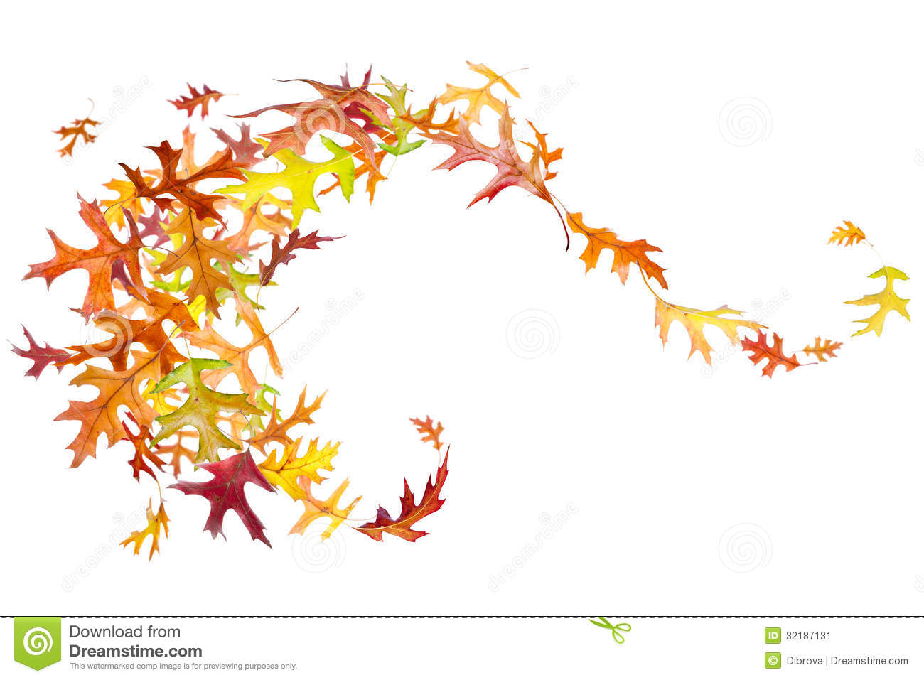 Swirl Of Autumn Leaves Stock Image   Image  32187131