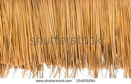 Thatch Hut Stock Photos Images   Pictures   Shutterstock