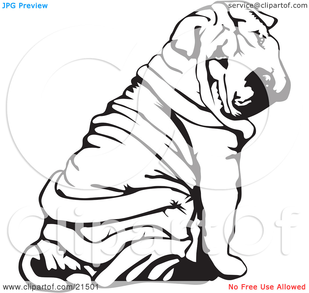 Clipart Illustration Of A Wrinkled Chinese Shar Pei Dog Sitting And