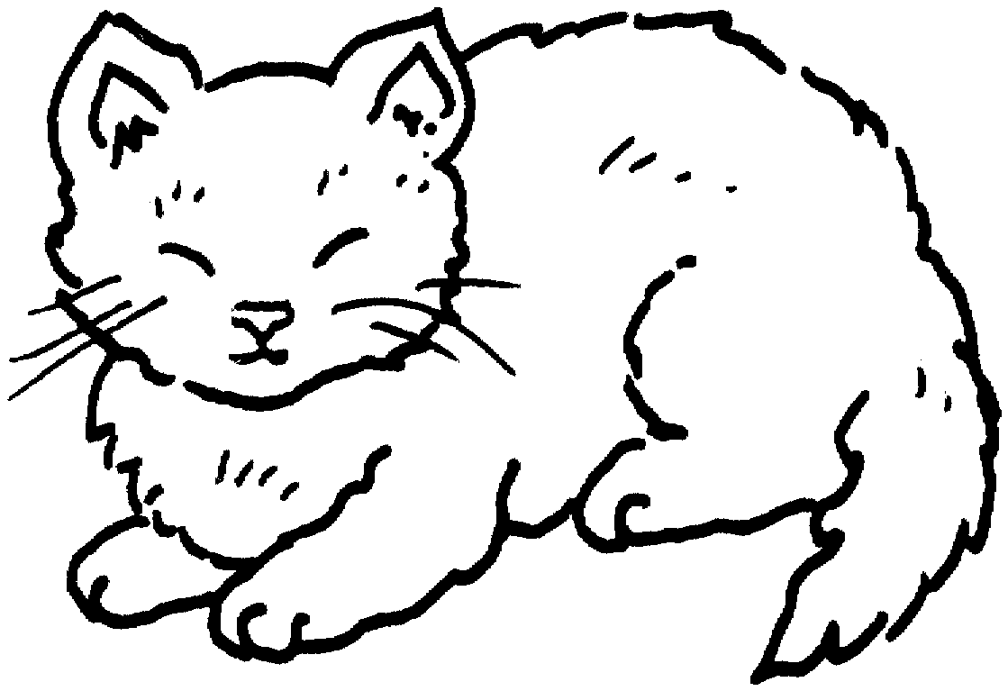 Desenhos De Gatos Para Imprimir E Colorir