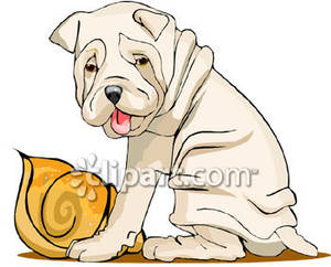 Dog Breeds   Shar Pei Royalty Free Clipart Picture