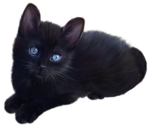 Little Black Cat   Clickandlol