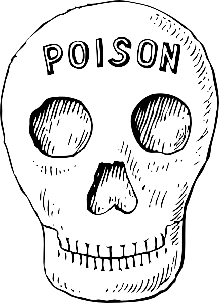 Poison Skull Clip Art At Clker Com   Vector Clip Art Online Royalty