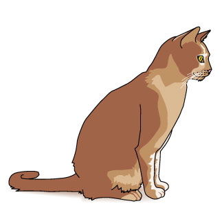 Related Red Cat Cliparts