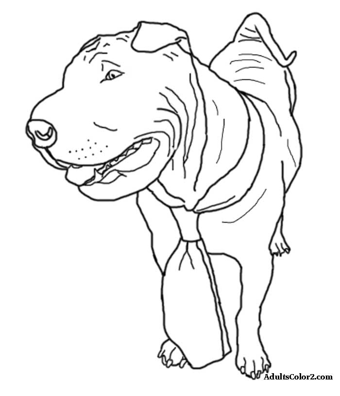 Shar Pei Wearing A Tie Coloring Page At Adultscolor2 Com