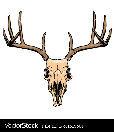There Is 18 Deer Skull   Free Cliparts All Used For Free