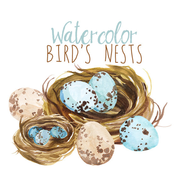 Watercolor Spring Clipart Bird S Nest Easter Clip Art Artistic Egg    