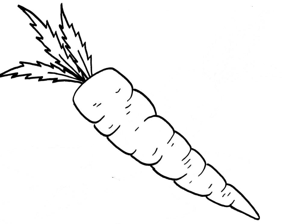 Carrots Outline Colouring Pages