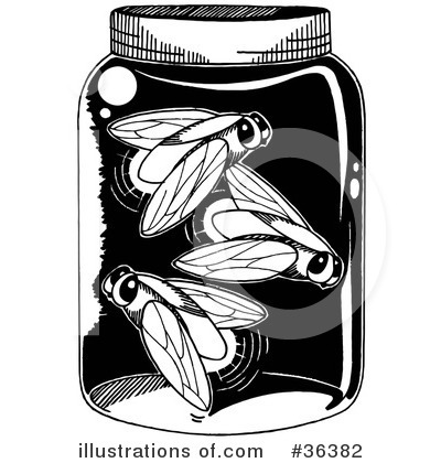 Firefly Black And White Clipart Royalty Free  Rf  Fireflies