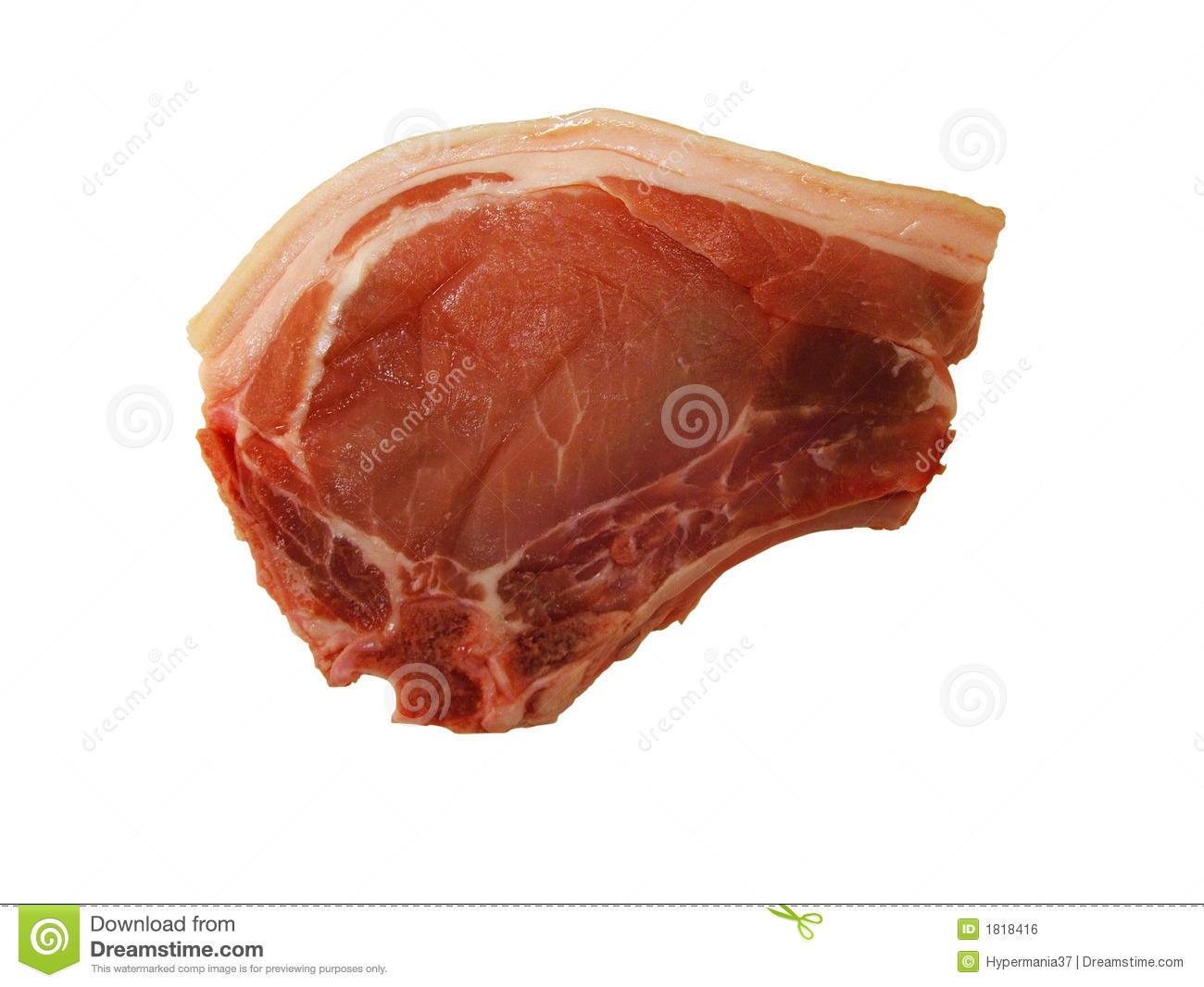 Pork Chop Royalty Free Stock Image   Image  1818416