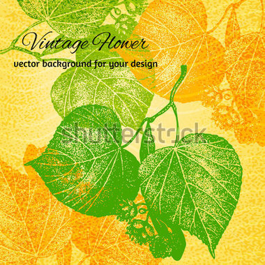 Artistic Vector Lime Tree Leaves Stock Vector   Clipart Me
