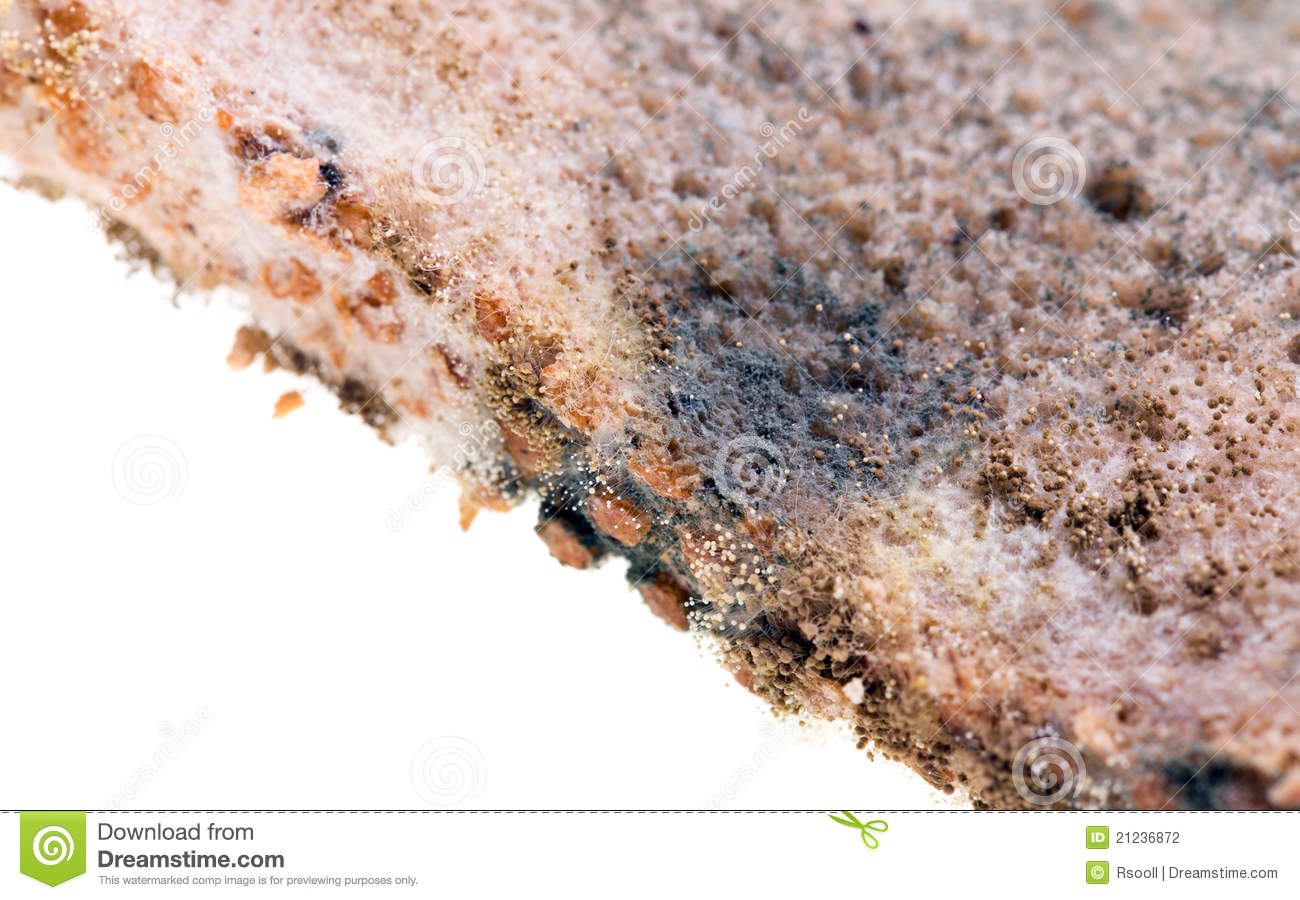 Bread Mouldy  On A Light Background Small Depth Of Sharpness