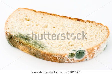 Mold On Bread Stock Photo 48781690   Shutterstock