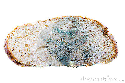 Of A Piece Of The Gray Bread Covered A Mold  On A White Background