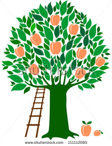 Peach Tree Isolated On White Background  Vector Illustration   Stock