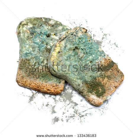 Photo Of A Piece Of The Gray Bread Covered A Mold  On A White