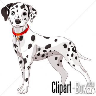 Related Dalmatian Dog Cliparts