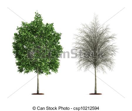 Stock Illustration Of Small Lime Tree High Resolution 3d Illustration