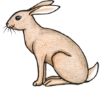 Title  Free Hare Clipart