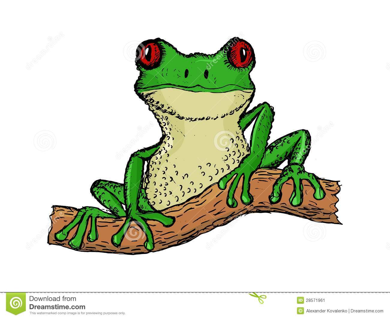 Tree Frog Drawing Tree Frog 28571961 Jpg