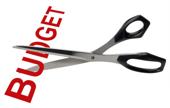 Budget Cut Image