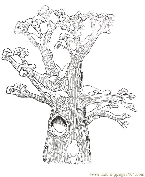Coloring Pages Hollow Tree Top Coloring Page Reversed  Natural World    
