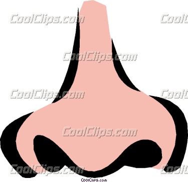 Human Nose Clipart For Kids   Clipart Panda   Free Clipart Images