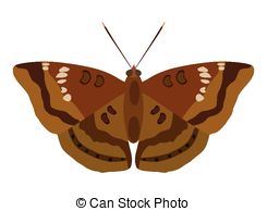 Moth Illustrations And Clipart  11275 Moth Royalty Free Illustrations