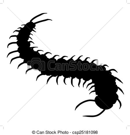 Eps Vectors Of Centipede   Black Silhouette Of Centipede Csp25181098