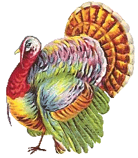 Google Free Thanksgiving Clip Art Search Pictures Photos