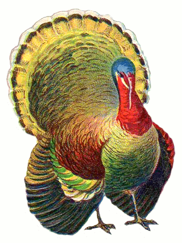 Http   Www Lotas Com Br Download Thanksgiving Turkey Pictures Clip Art
