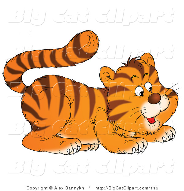 Big Cat Clipart Of A Frisky Tiger Cub Crouching By Alex Bannykh    116