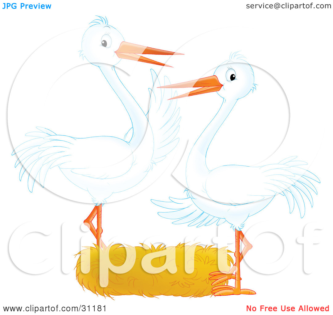 Clipart Illustration Of Two White Storks Standing At An Empty Nest